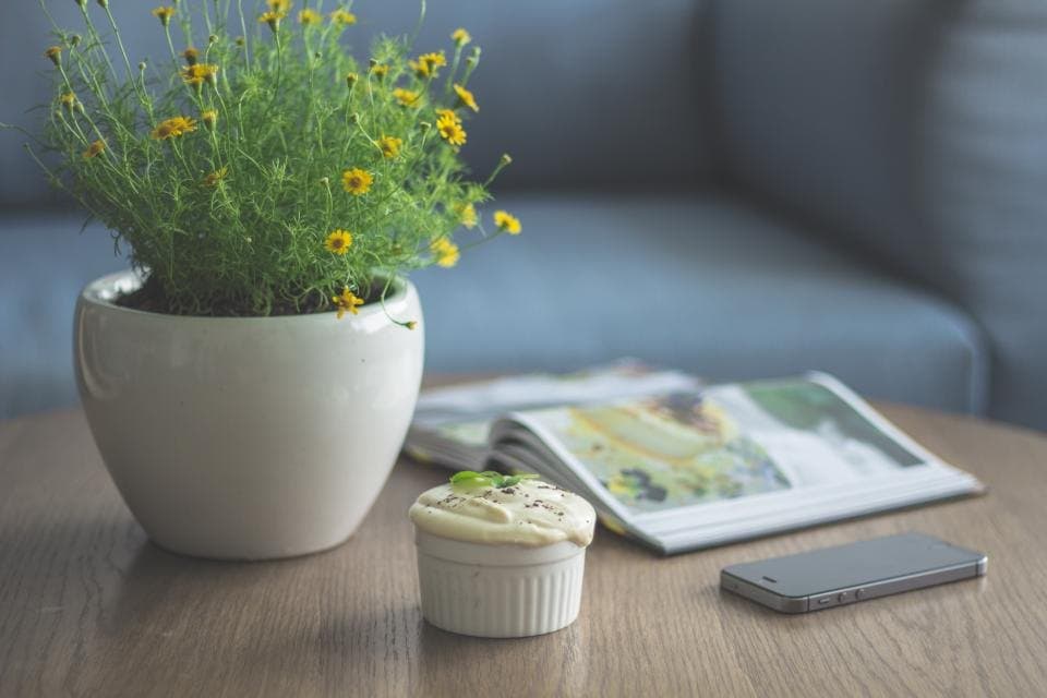 White Ceramic Planter